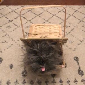 Toto basket for Dorothy costume